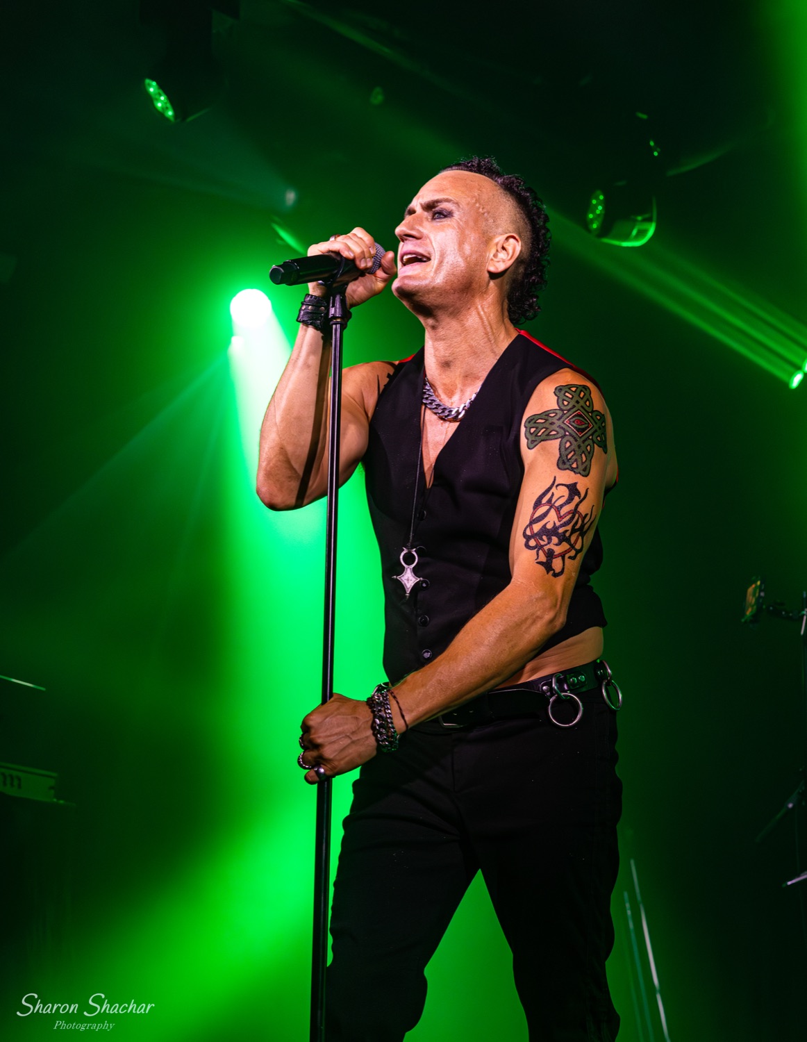 Olive Shows Depeche Mode tribute - vocalist and crowd